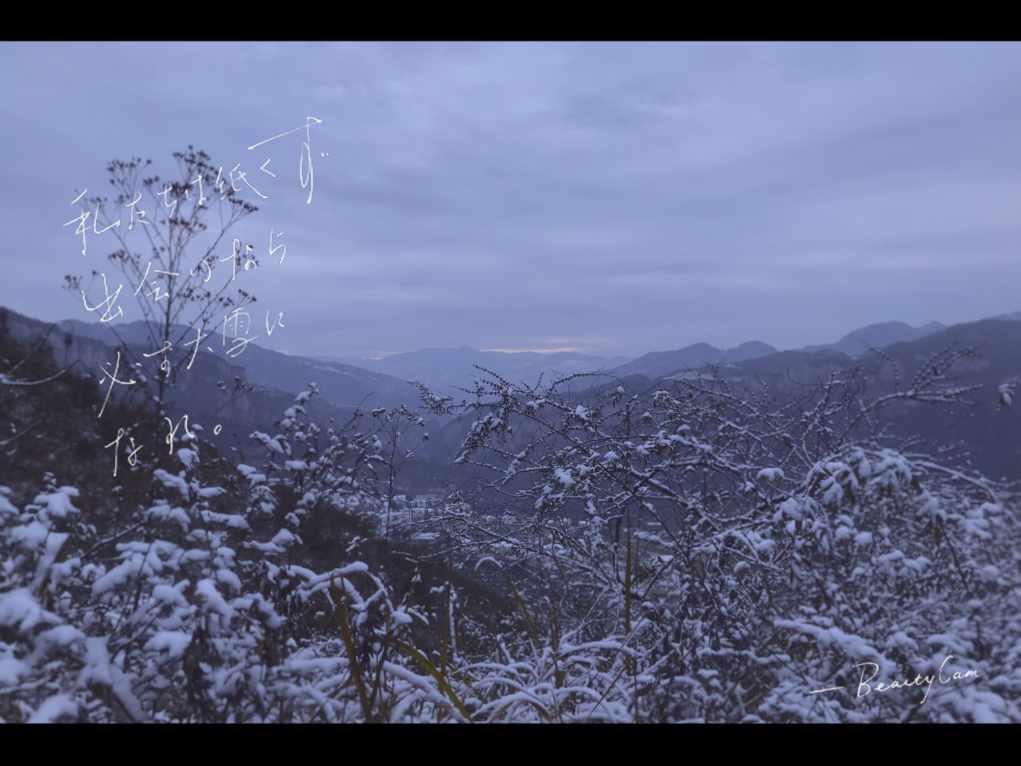 如何挽回金牛座的心?-智能问答网页,机智回答问题